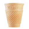Fiesta Cup Cone