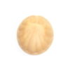 Plain Oyster Shells